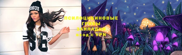 дживик Ветлуга
