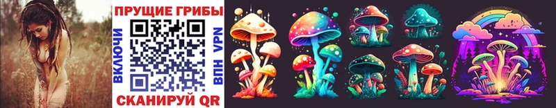 Псилоцибиновые грибы Cubensis  Сураж 